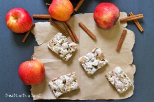 applecinnamoncerealbars4