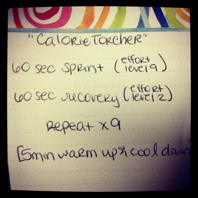 Calorie Torcher